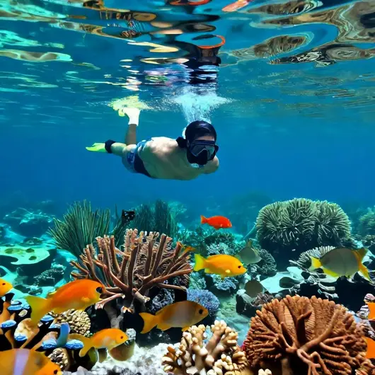 Aventura Subaquática: Tudo Sobre Snorkel em João Pessoa Aventura Subaquática: Tudo Sobre Snorkel em João Pessoa