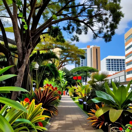 Desbravando as Trilhas Urbanas de João Pessoa: Natureza e Aventura