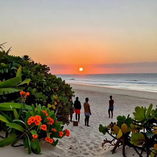 Descubra a Beleza da Observação da Natureza em João Pessoa