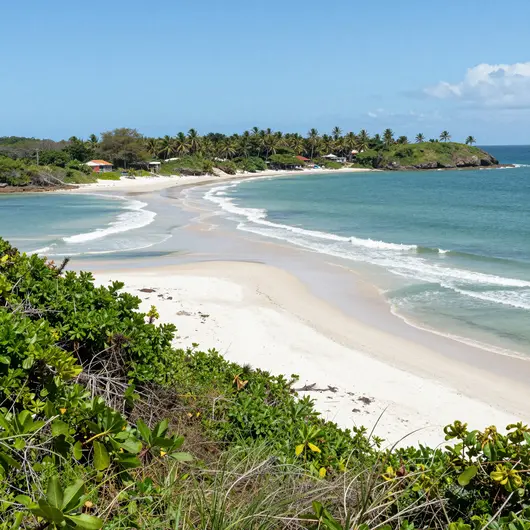 Descubra a Ilha da Restinga: Um Paraíso em João Pessoa Descubra a Ilha da Restinga: Um Paraíso em João Pessoa