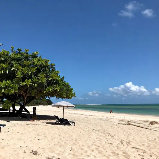 Descubra a Melhor Época para Visitar João Pessoa – PB Descubra a Melhor Época para Visitar João Pessoa - PB