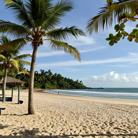 Descubra a Praia de Tabatinga