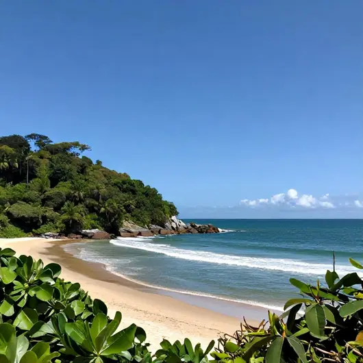 Descubra a Praia Naturista de Tambaba Descubra a Praia Naturista de Tambaba