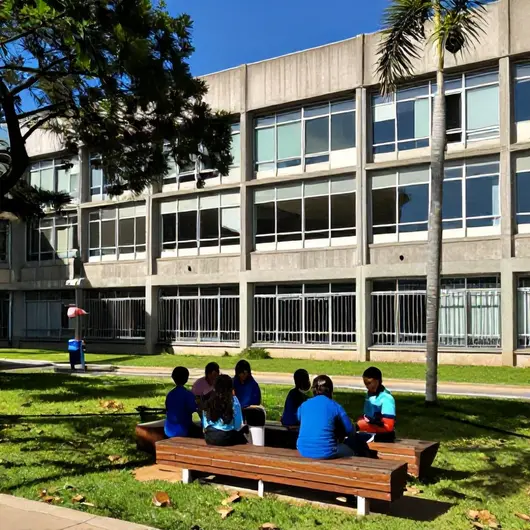Descubra o Centro de Referência da Juventude