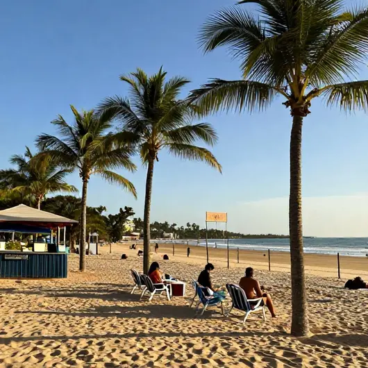 Descubra o Charme do Inverno em João Pessoa – PB Descubra o Charme do Inverno em João Pessoa - PB