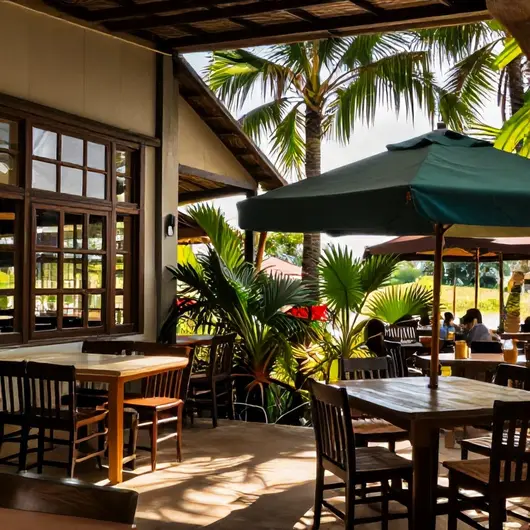 Descubra o Coqueirinho Restaurante Tropicali Descubra o Coqueirinho Restaurante Tropicali