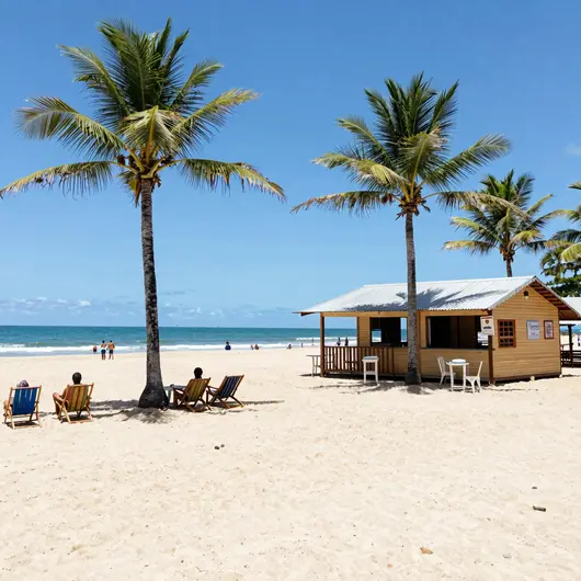 Descubra o Encanto do Tô na Praia Descubra o Encanto do Tô na Praia