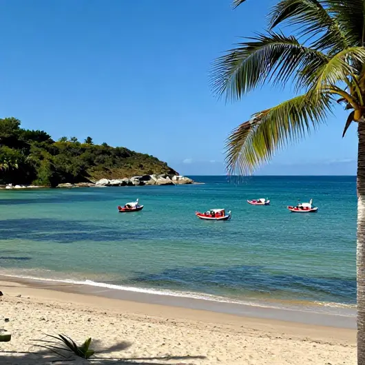 Descubra o Passeio Litoral Sul