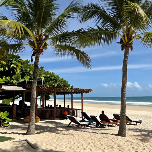 Descubra o Restinga Premium Pé na Areia Descubra o Restinga Premium Pé na Areia