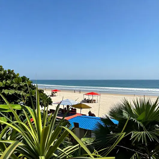 Descubra os Melhores PASSEIOS EM JOÃO PESSOA