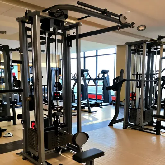 Equilibrium Academia Equilibrium Academia