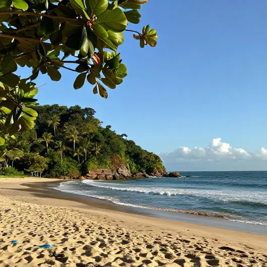 Explore Tambaba & Coqueirinho