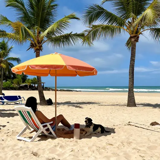 Hospedagem Pet Friendly em João Pessoa: Dicas para Viajar com Seu Pet Hospedagem Pet Friendly em João Pessoa: Dicas para Viajar com Seu Pet