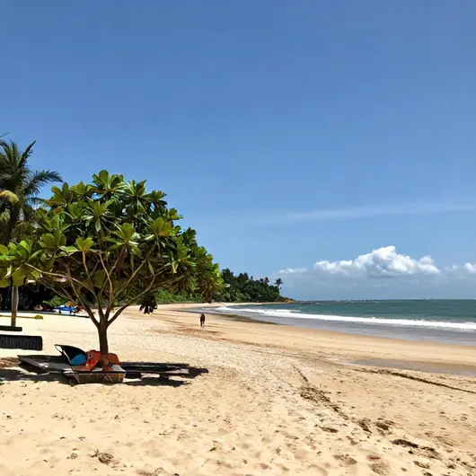 Passeio à Ilha de Areia Vermelha em João Pessoa Passeio à Ilha de Areia Vermelha em João Pessoa