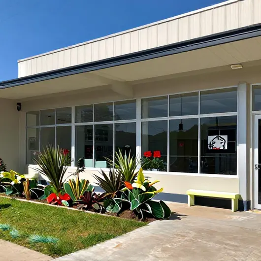 Pet shop e clínica veterinária 24h