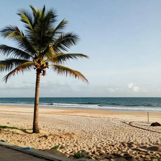 Praia de Camboinha: Um Paraíso à Beira-Mar Praia de Camboinha: Um Paraíso à Beira-Mar