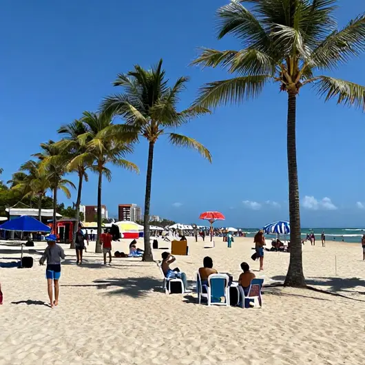 Quando Visitar João Pessoa: Dicas para a Alta Temporada Quando Visitar João Pessoa: Dicas para a Alta Temporada