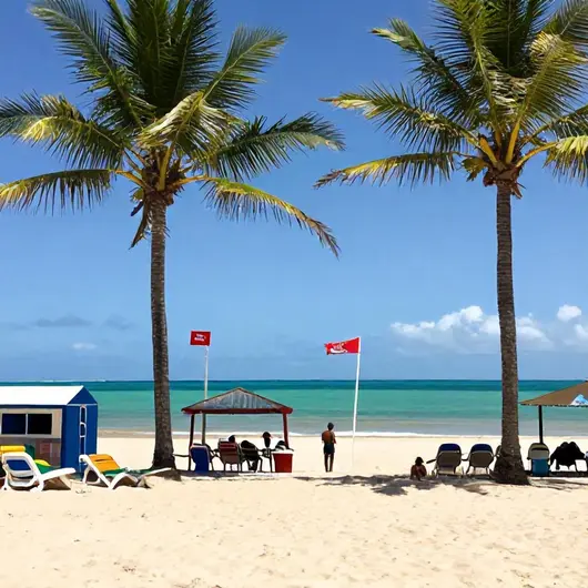 Verão em João Pessoa: Quando Visitar e o Que Fazer